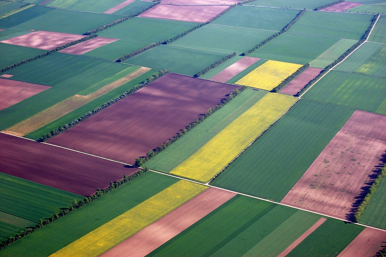 aerial view fields color free photo