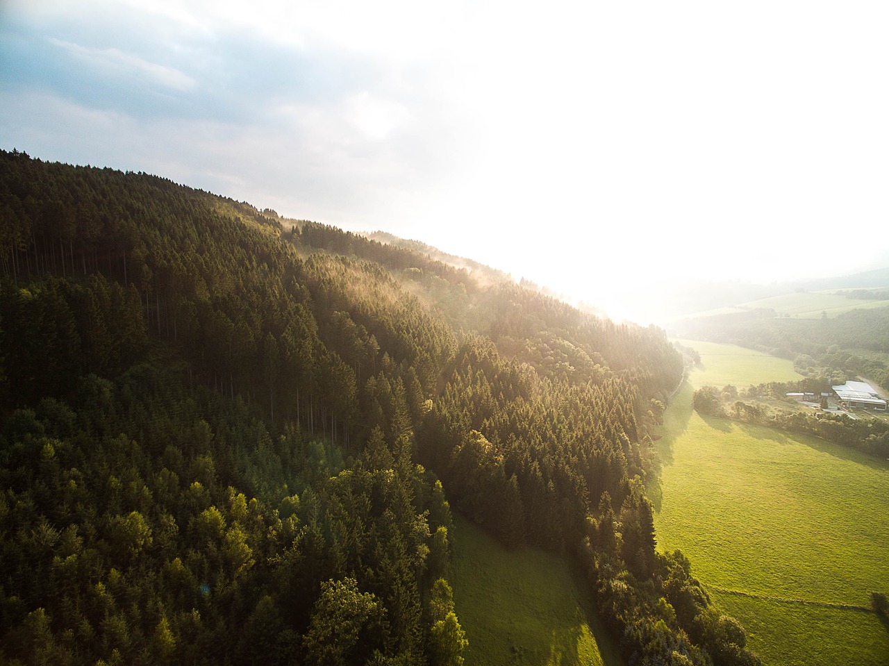 aerial view  forest  sauerland free photo