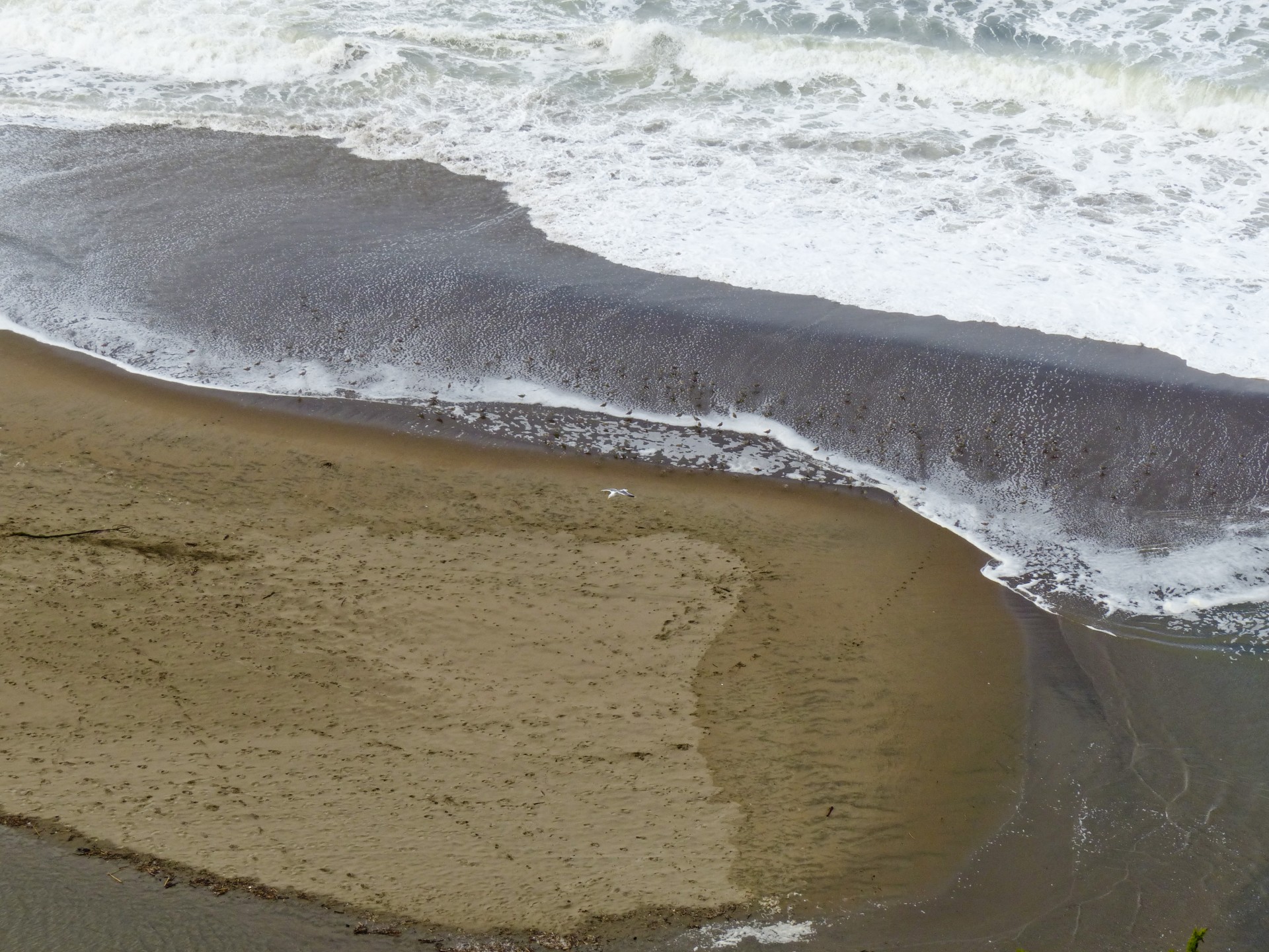 ocean aerial sand free photo