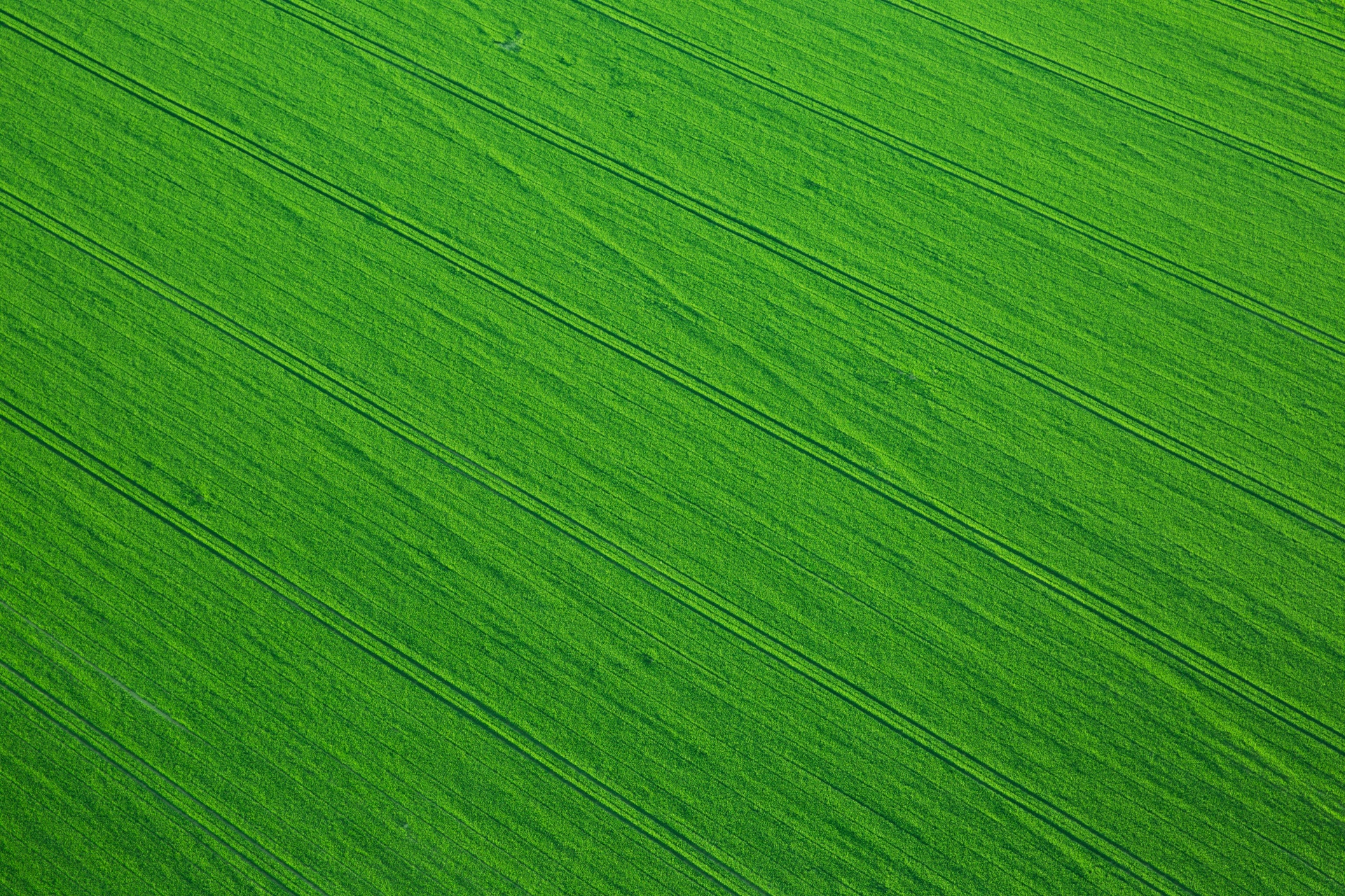 above aerial agriculture free photo