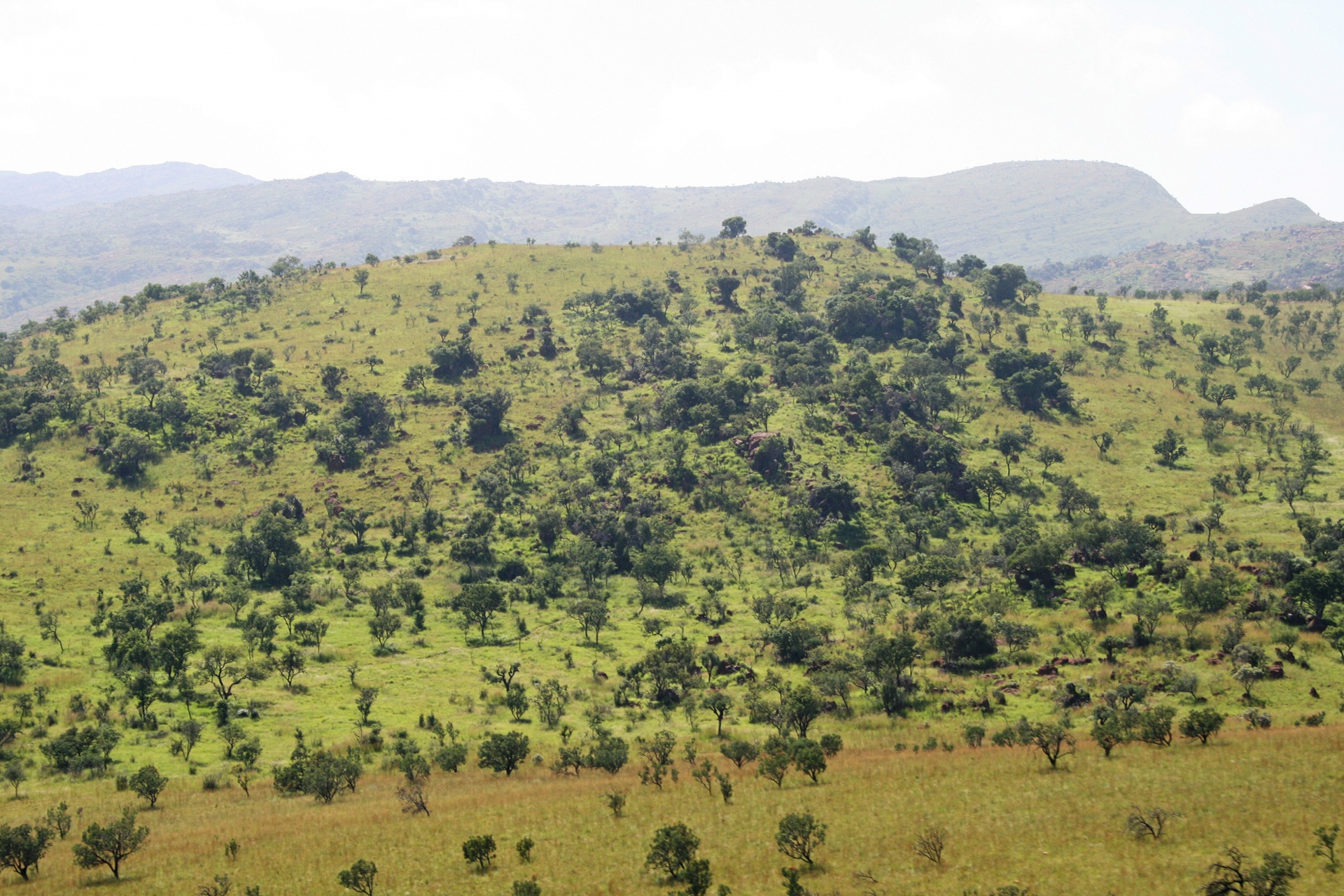 countryside hills sloping free photo