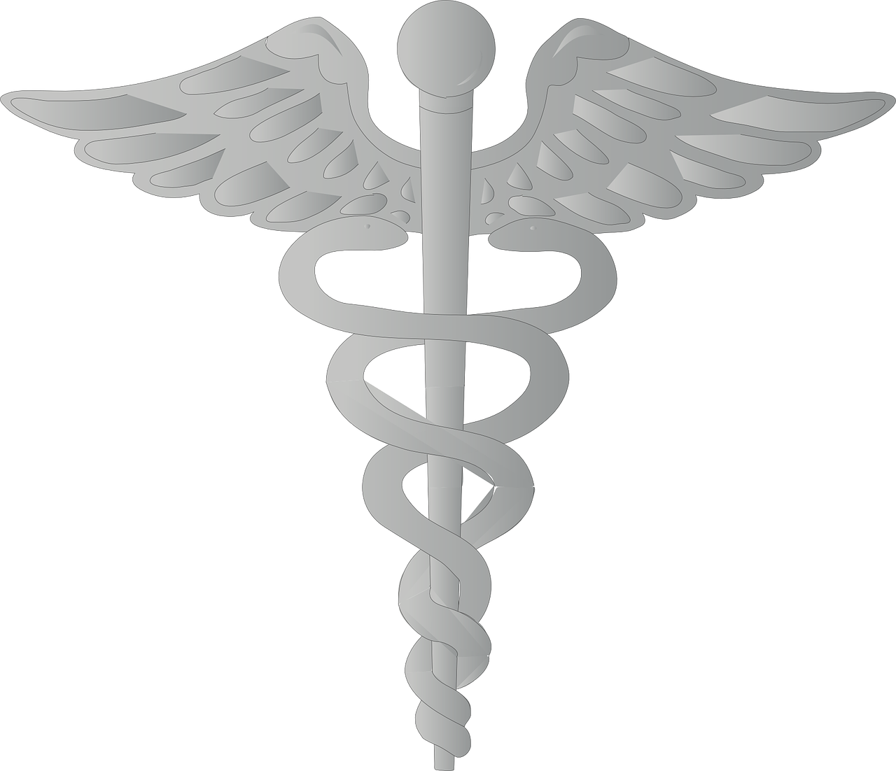 aesculapian staff rod of asclepius free photo