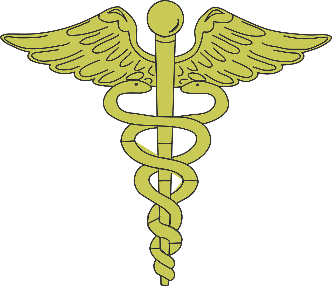 aesculapian staff rod of asclepius health free photo