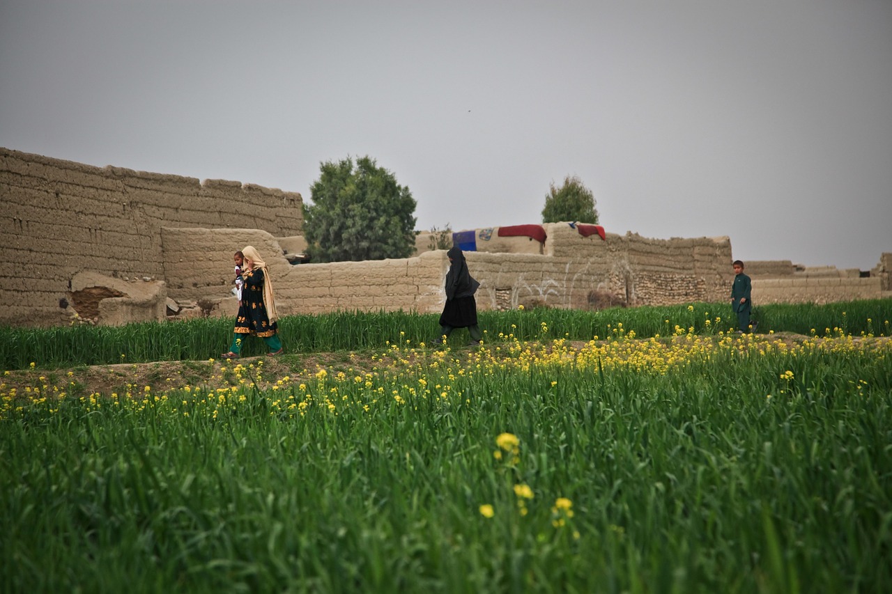 afghanistan farm woman free photo