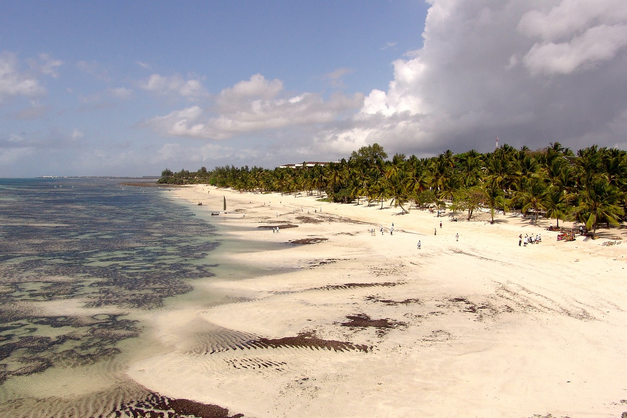 africa beach ocean free photo