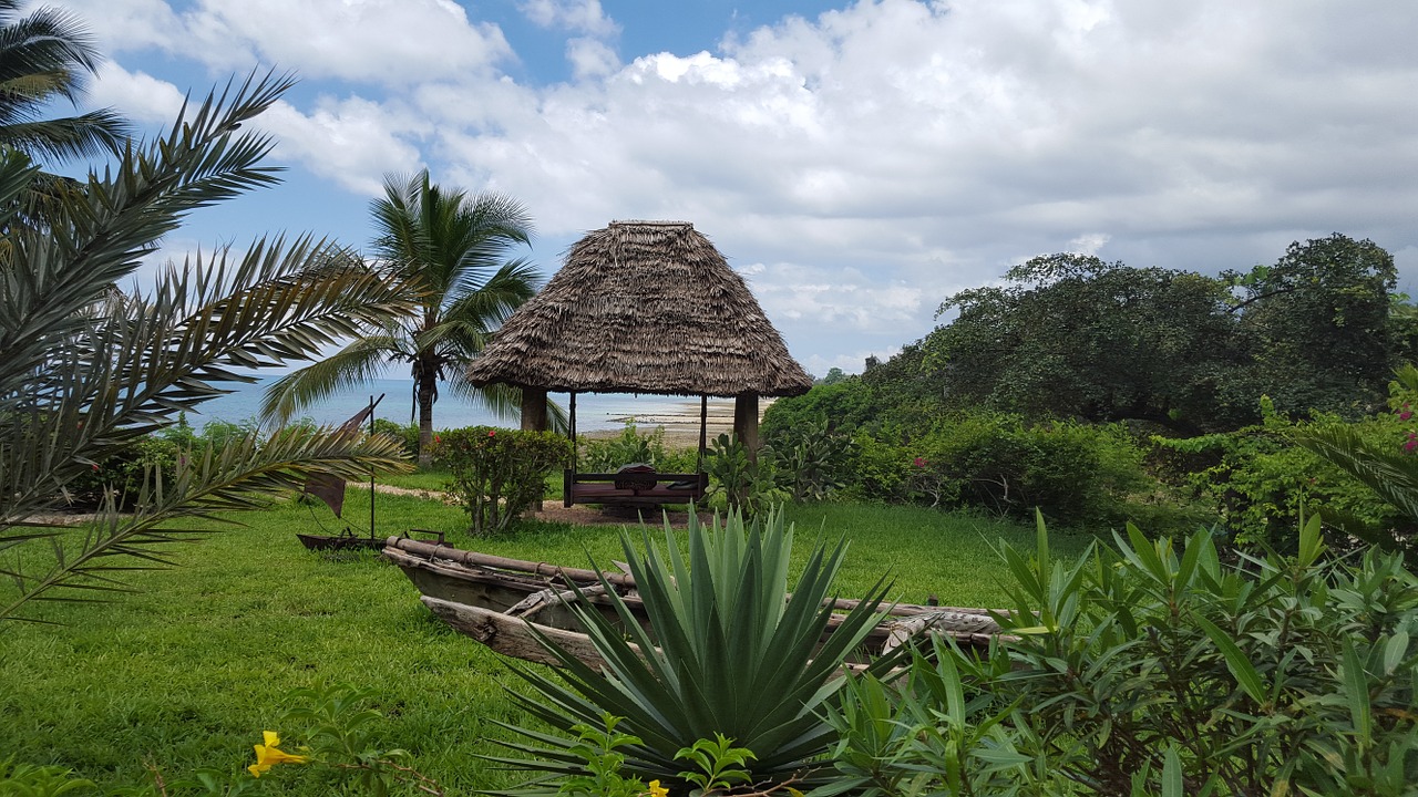 africa zanzibar hakuna matata free photo