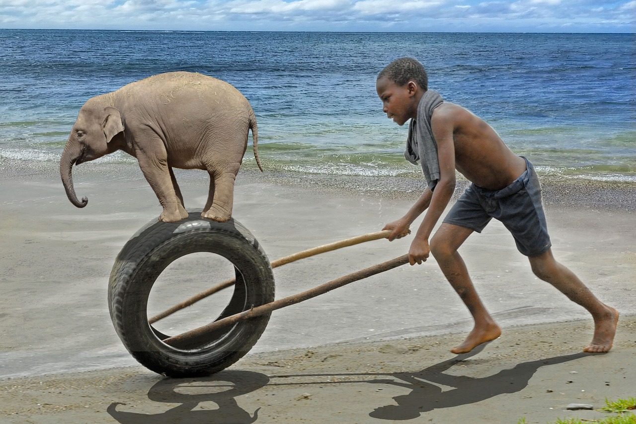 africa boy elephant free photo