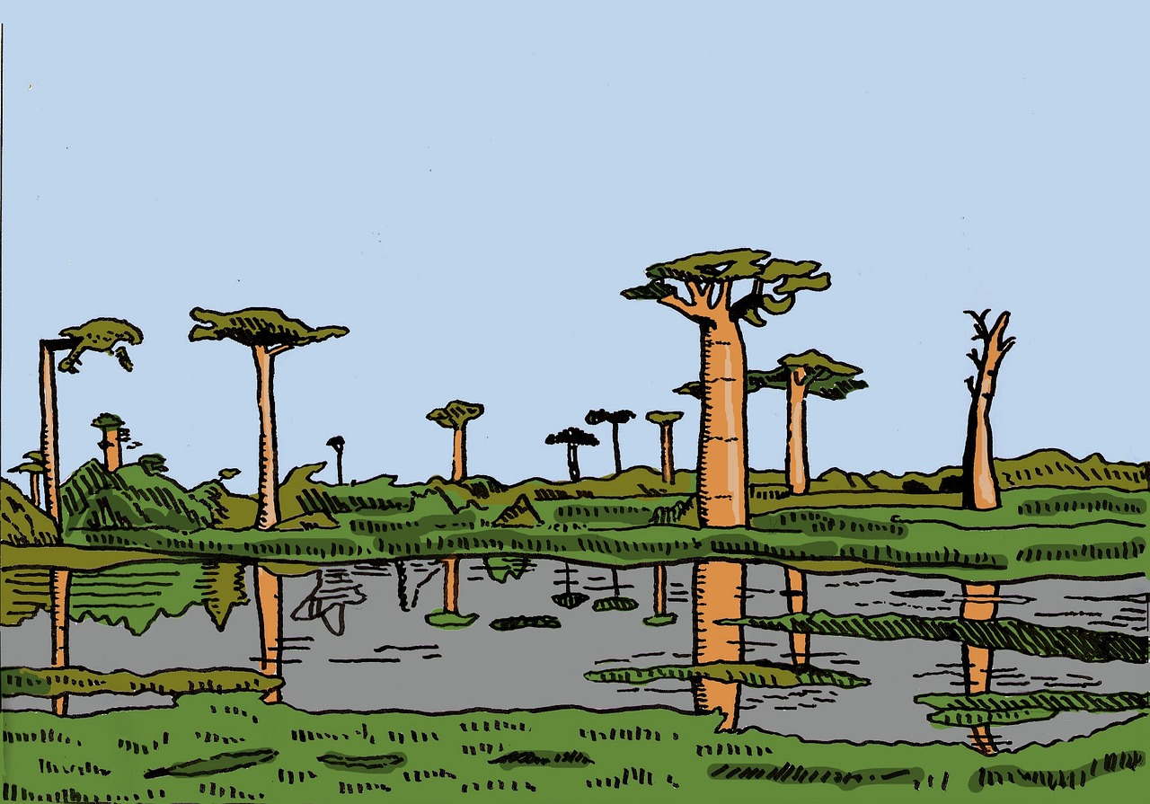 africa baobabs illustration free photo