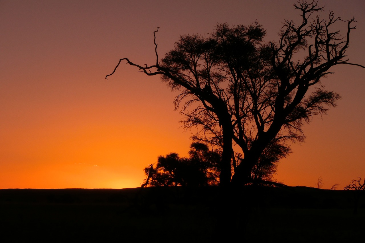 africa sunset namibia free photo