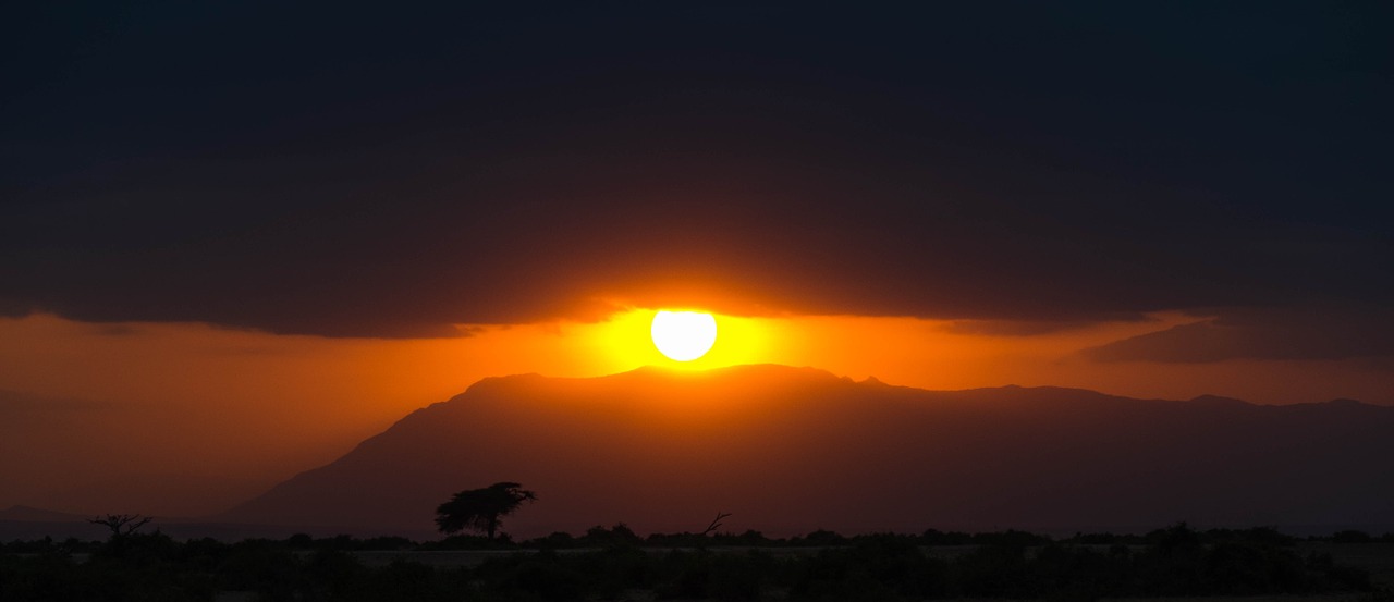 africa sunset safari free photo