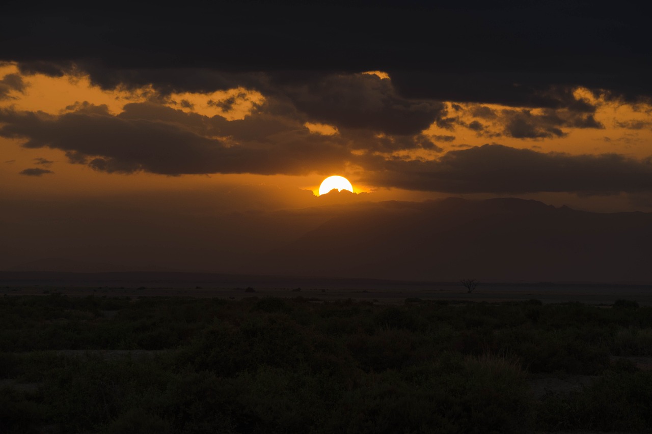 africa safari sunset free photo