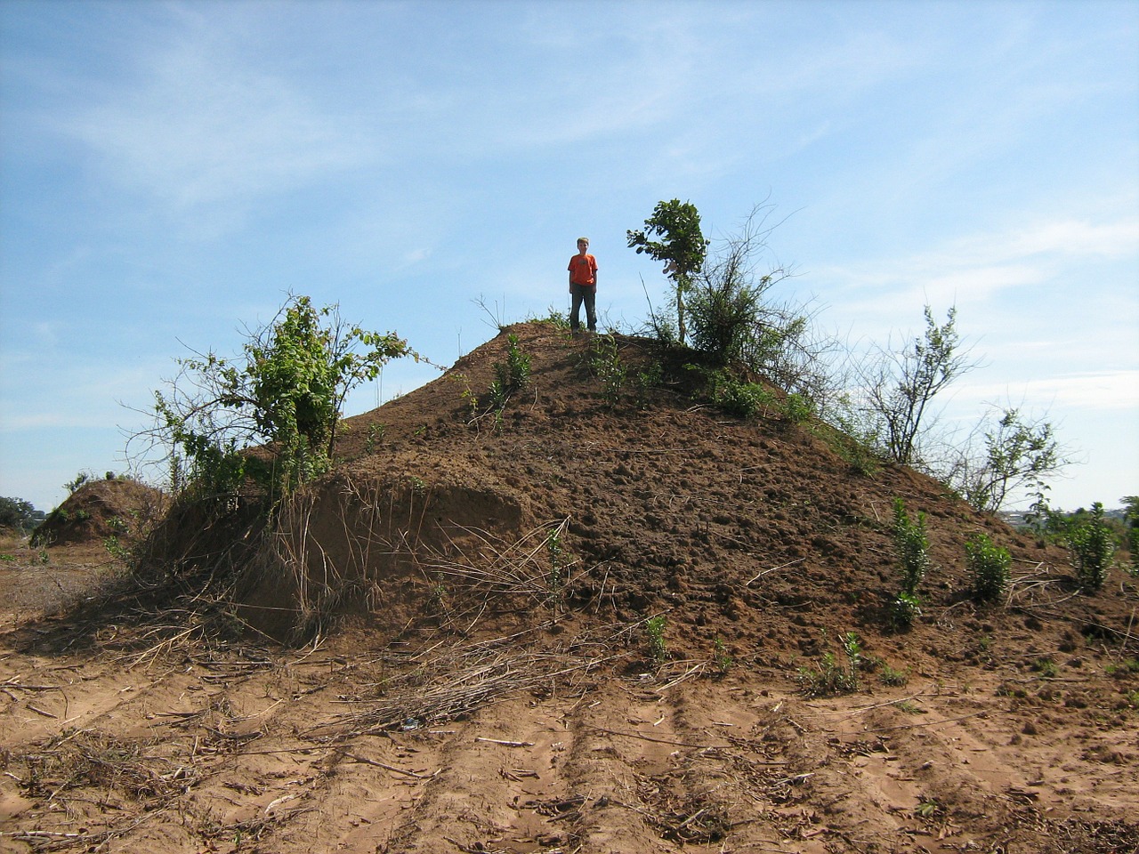 africa giant ant hill unusual free photo