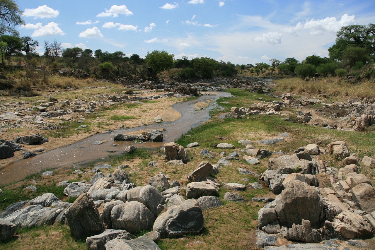 africa tanzania river free photo