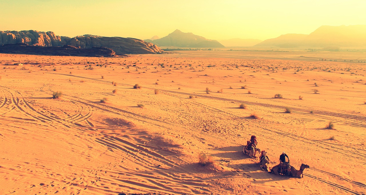 africa camels desert free photo