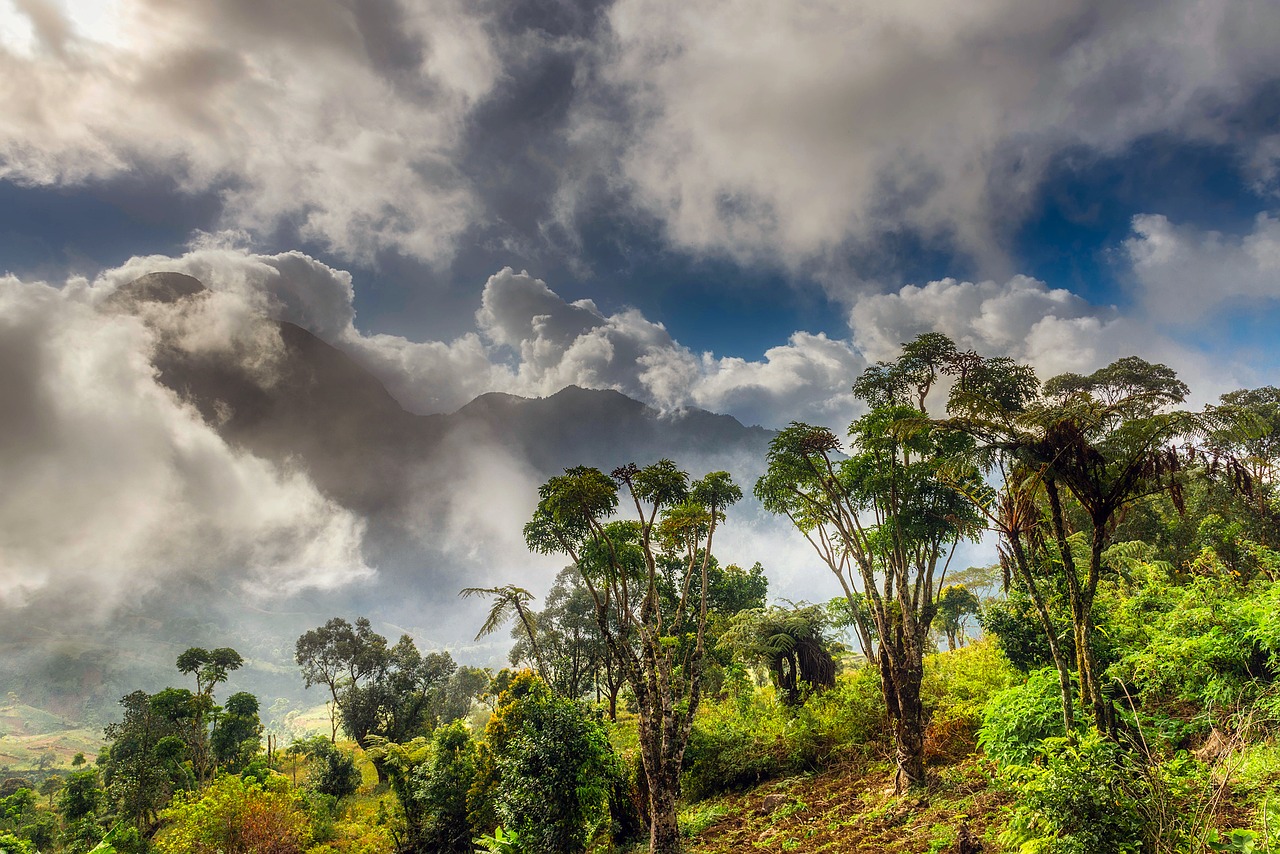 africa sky clouds free photo