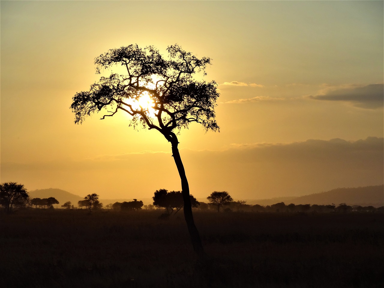 africa abendstimmung landscape free photo