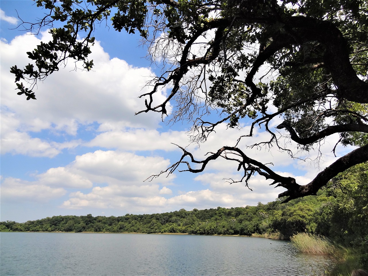 africa landscape lake free photo