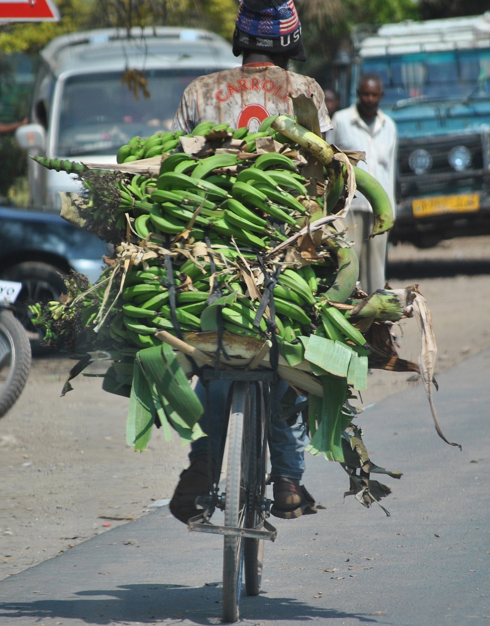 africa tanzania bananas free photo