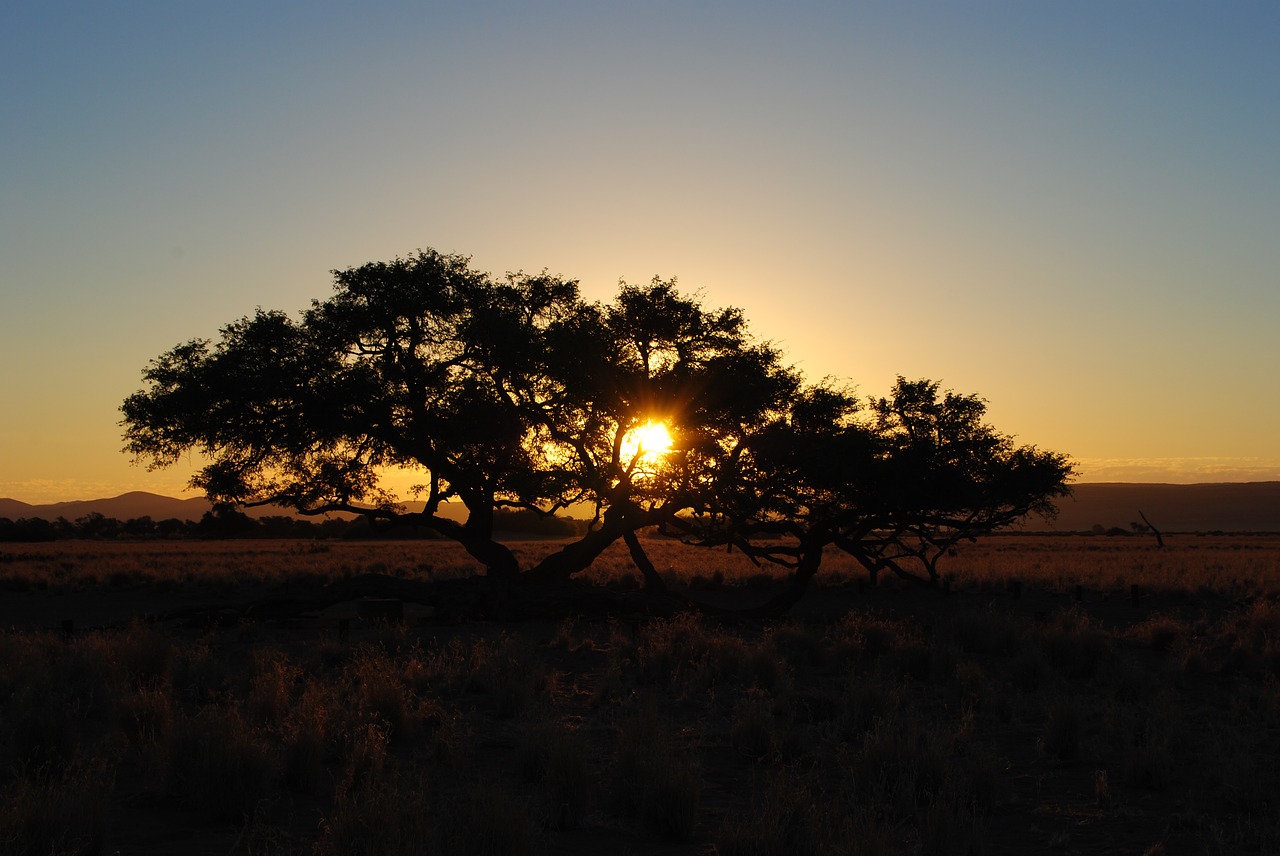 africa sunset namibia free photo