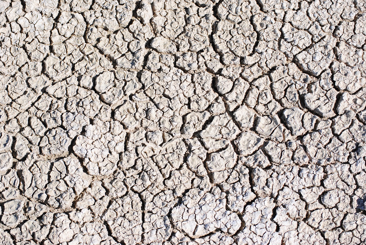 africa namibia etosha free photo