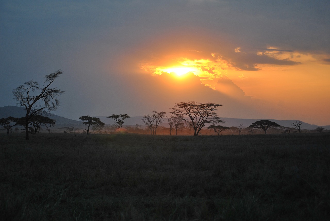 africa tanzania national park free photo