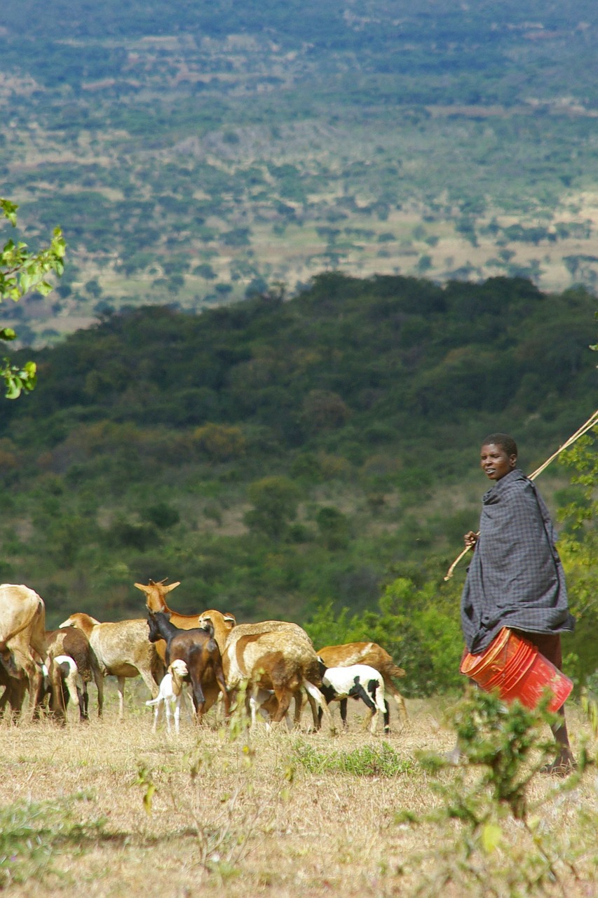 africa tanzania landscape free photo