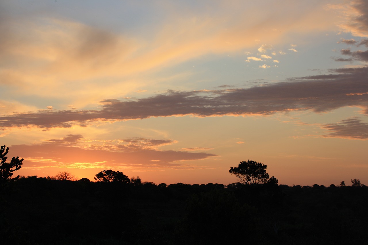 africa skyline landscape free photo