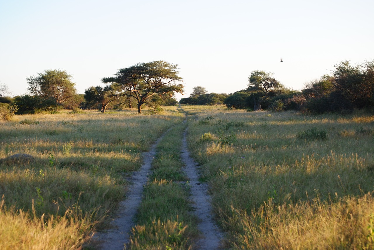 africa namibia nature free photo