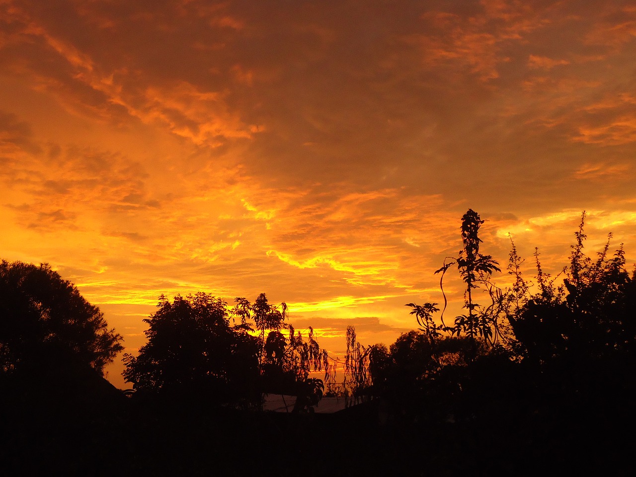 africa dusk sundown free photo