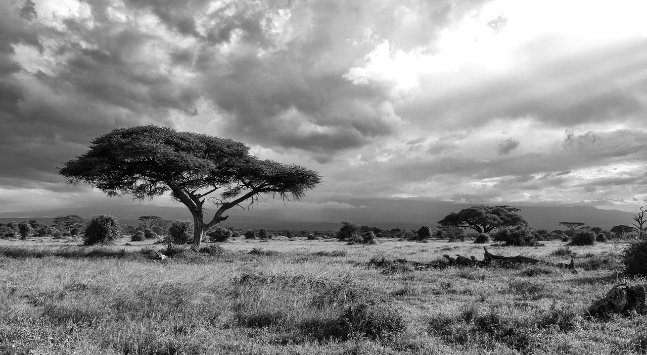 africa kenya landscape free photo