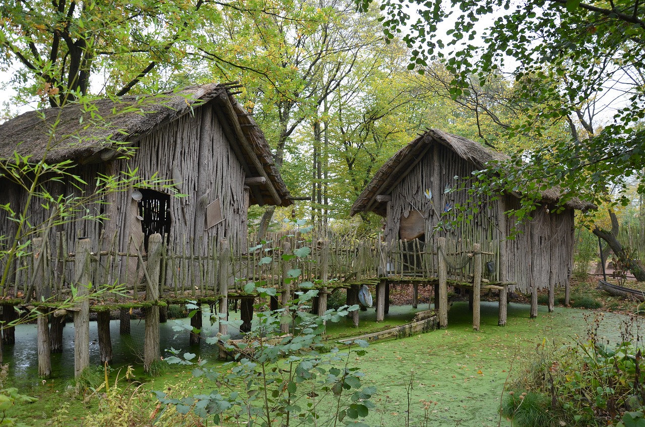 africa wooden huts construction free photo