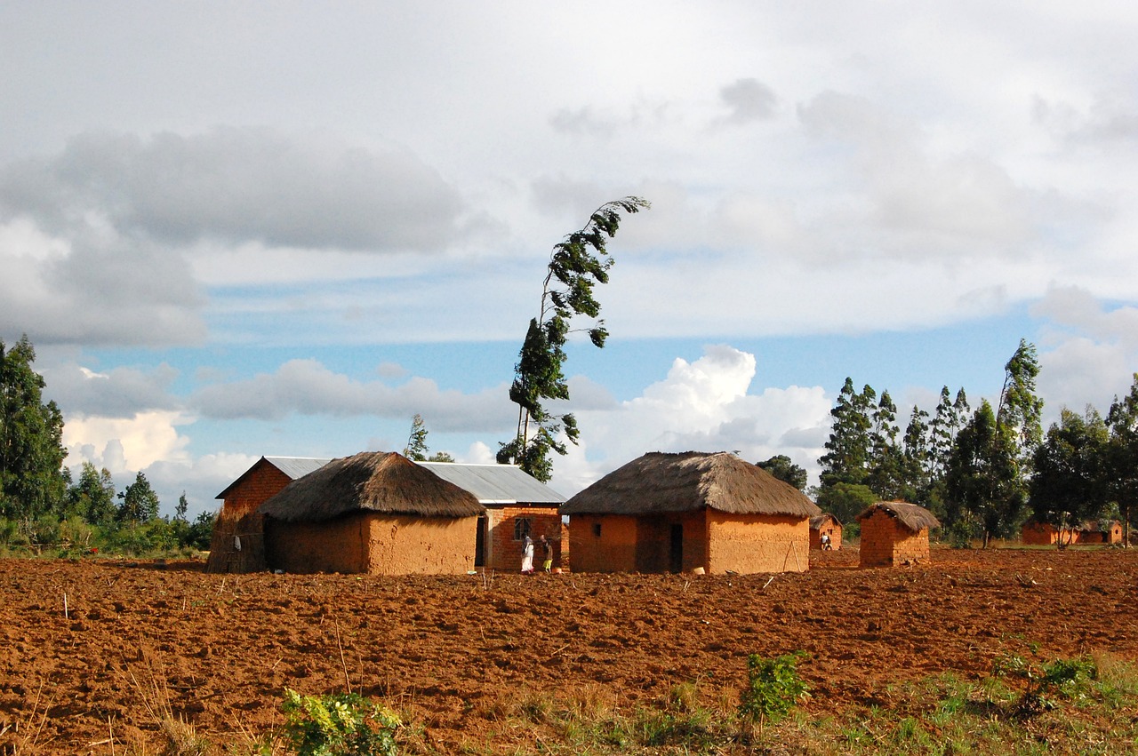 africa  tanzania  village free photo