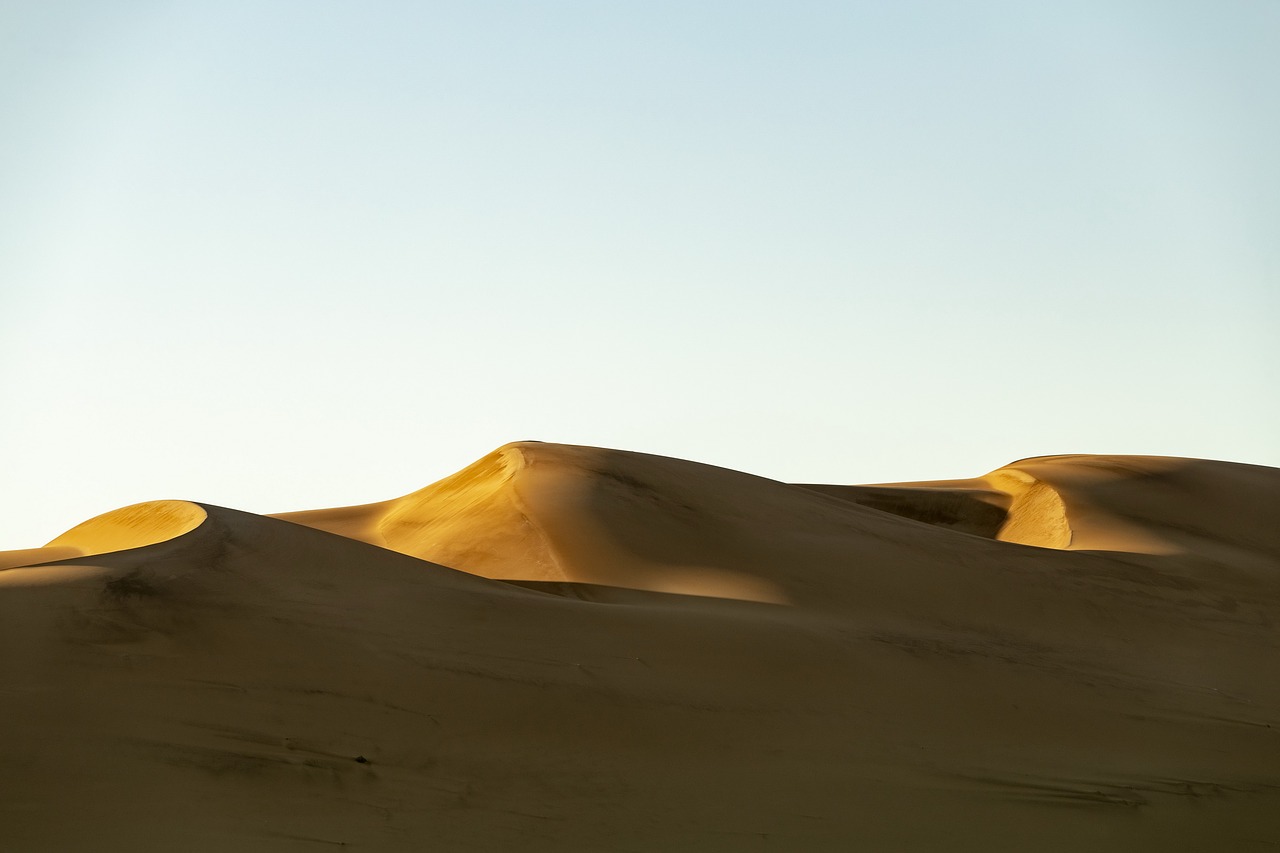 africa  desert  sunrise free photo