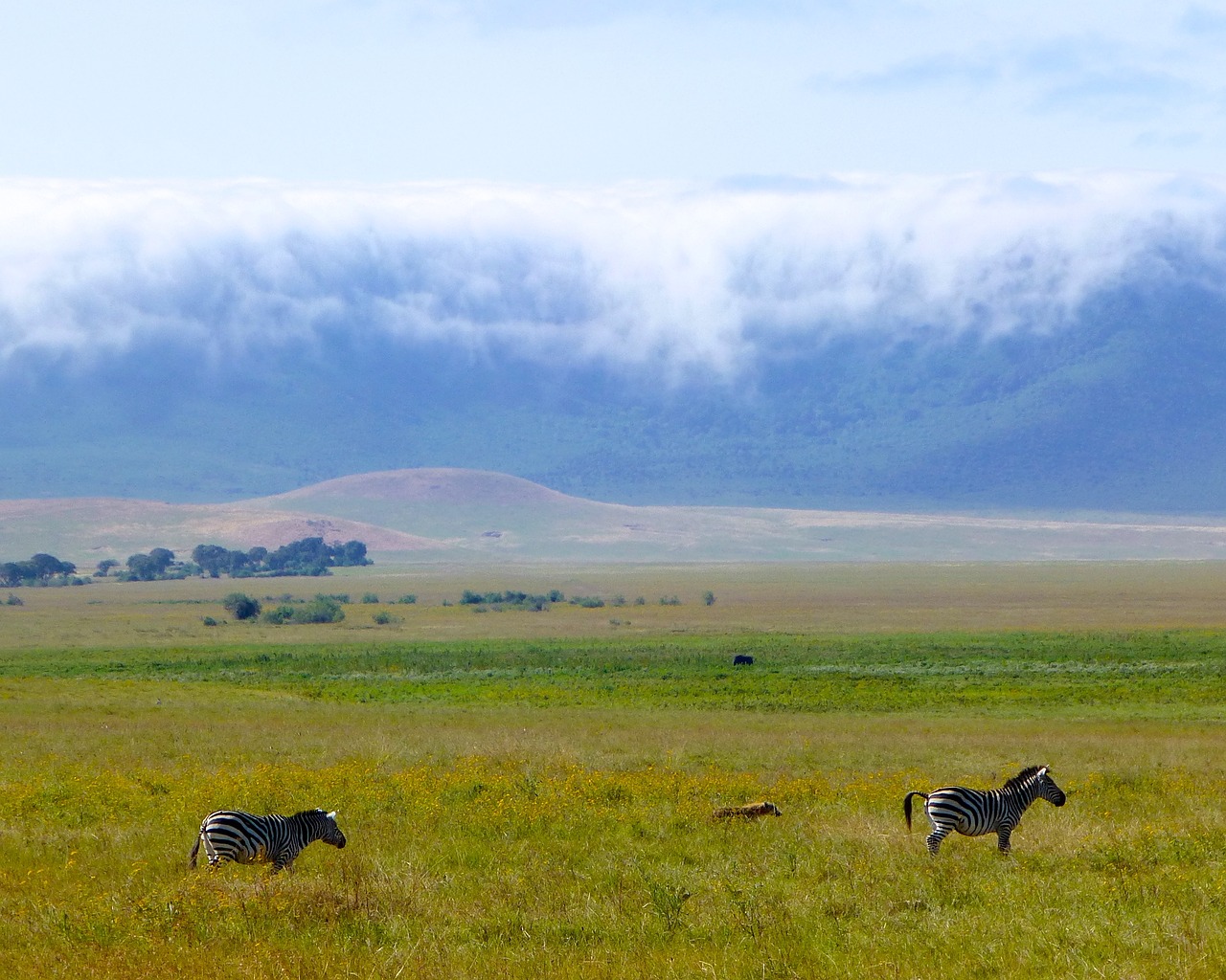 africa  volcano  crater free photo