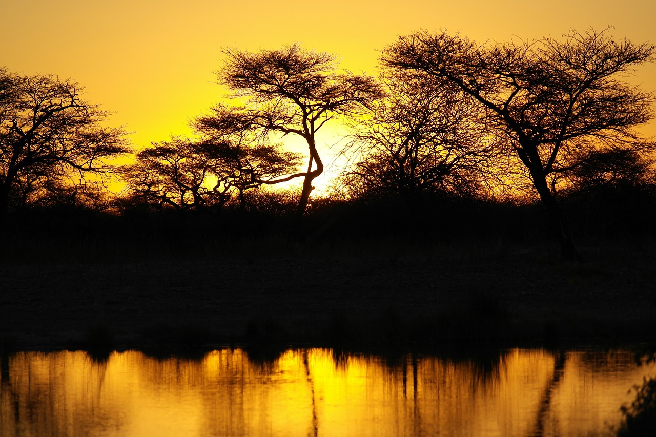 africa  sunset  landscape free photo