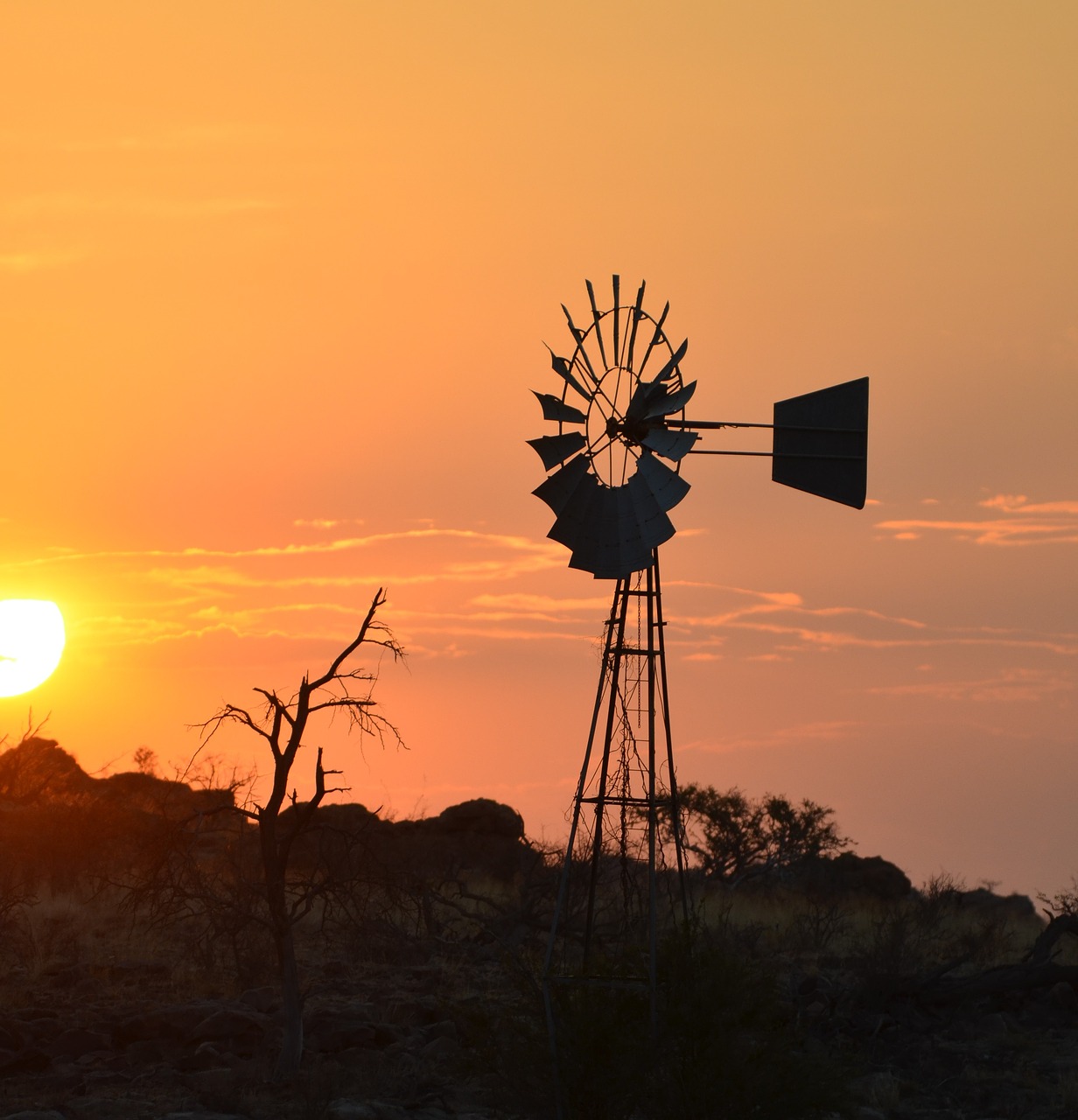 africa  sunset  nature free photo