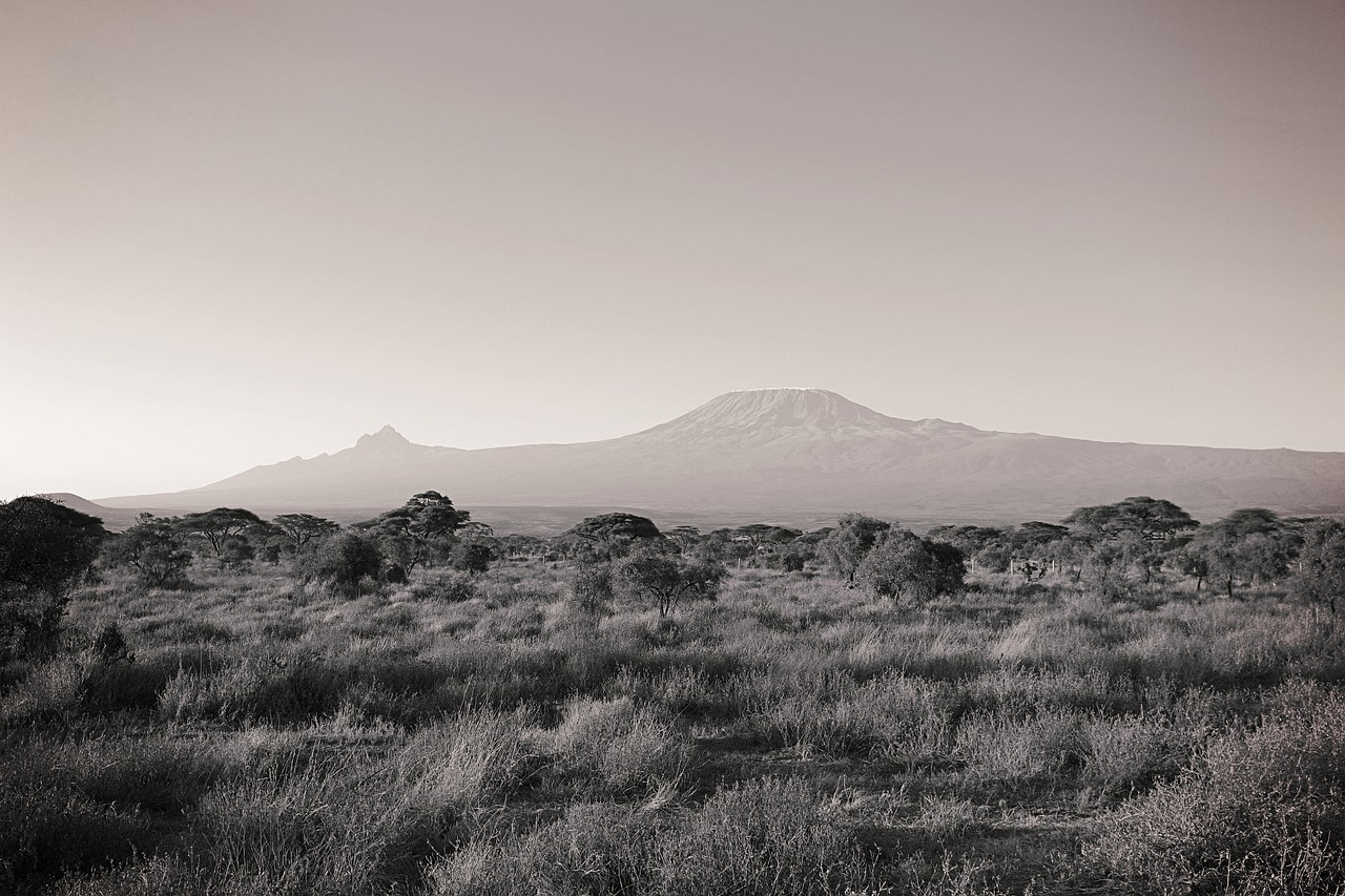 africa  kilimanjaro  kenya free photo