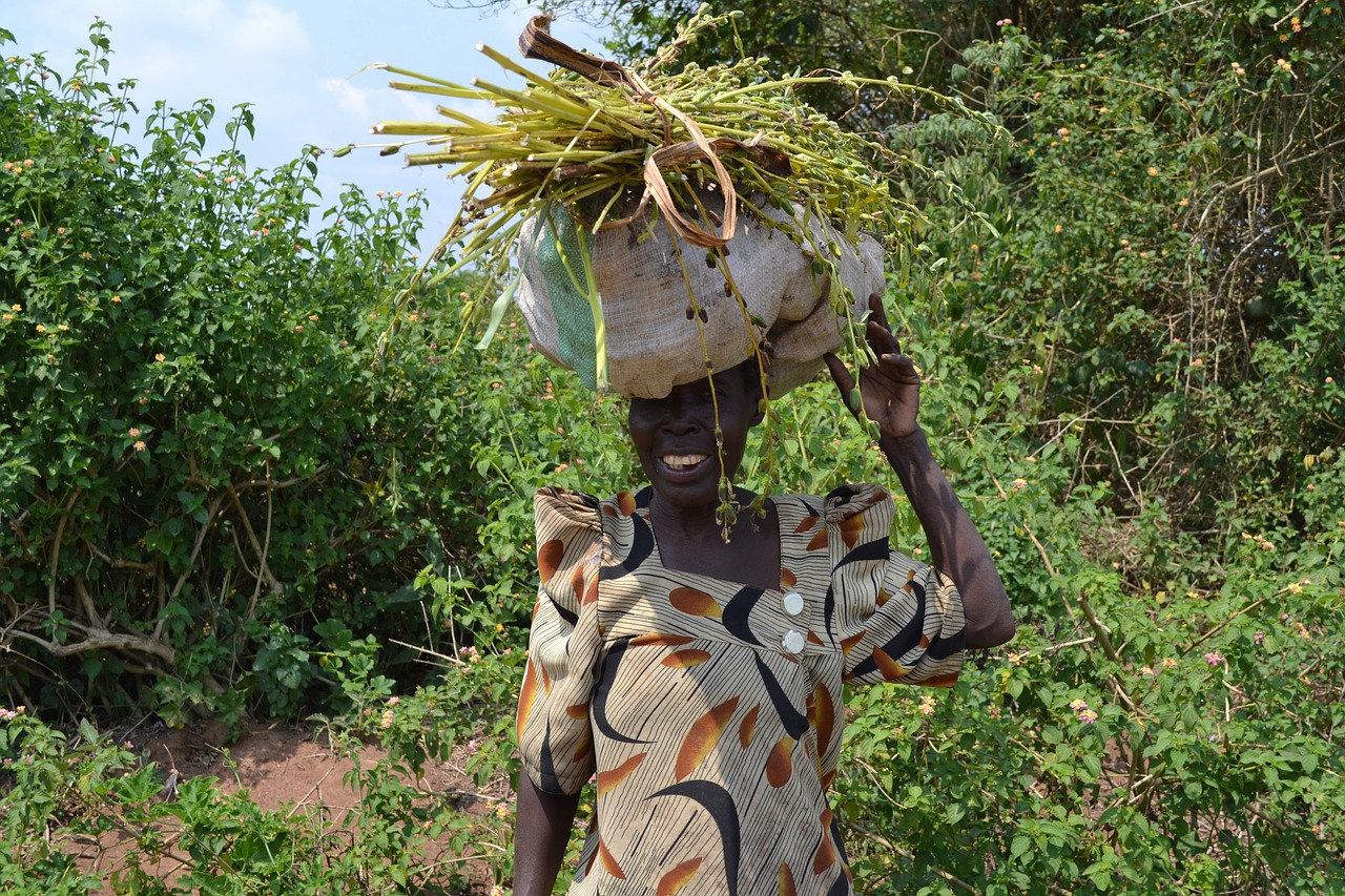 africa native tribal free photo