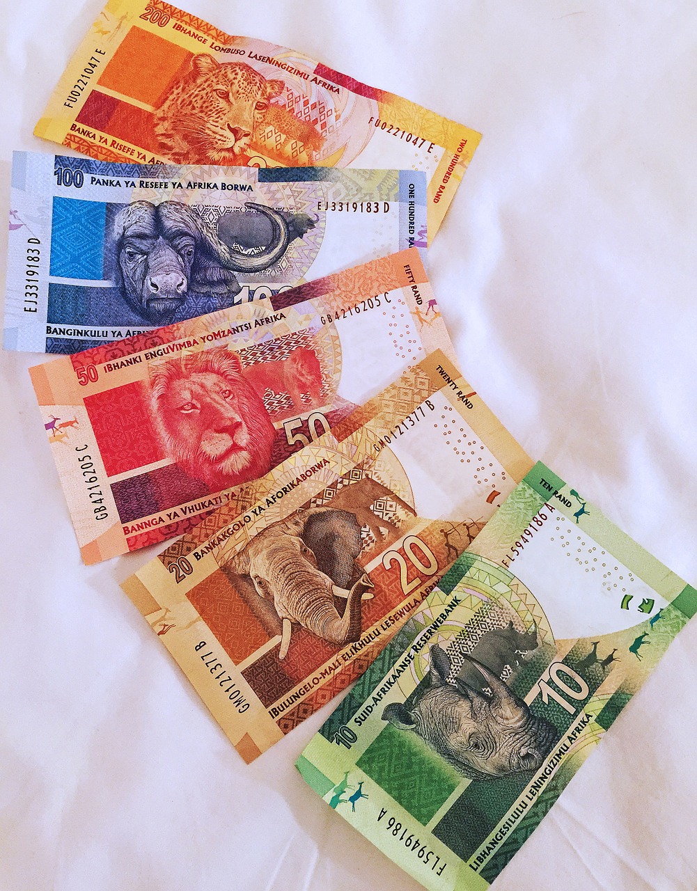 african currency currency notes free photo