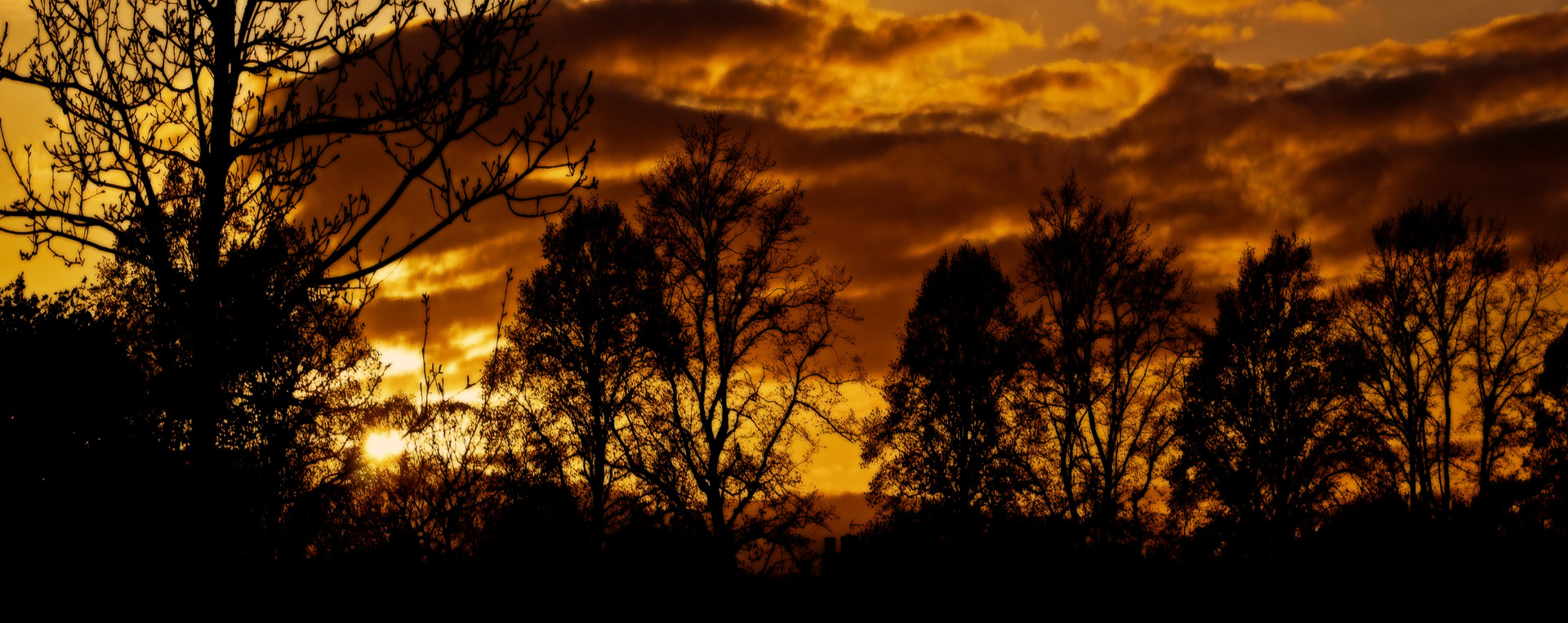 african sunset trees free photo