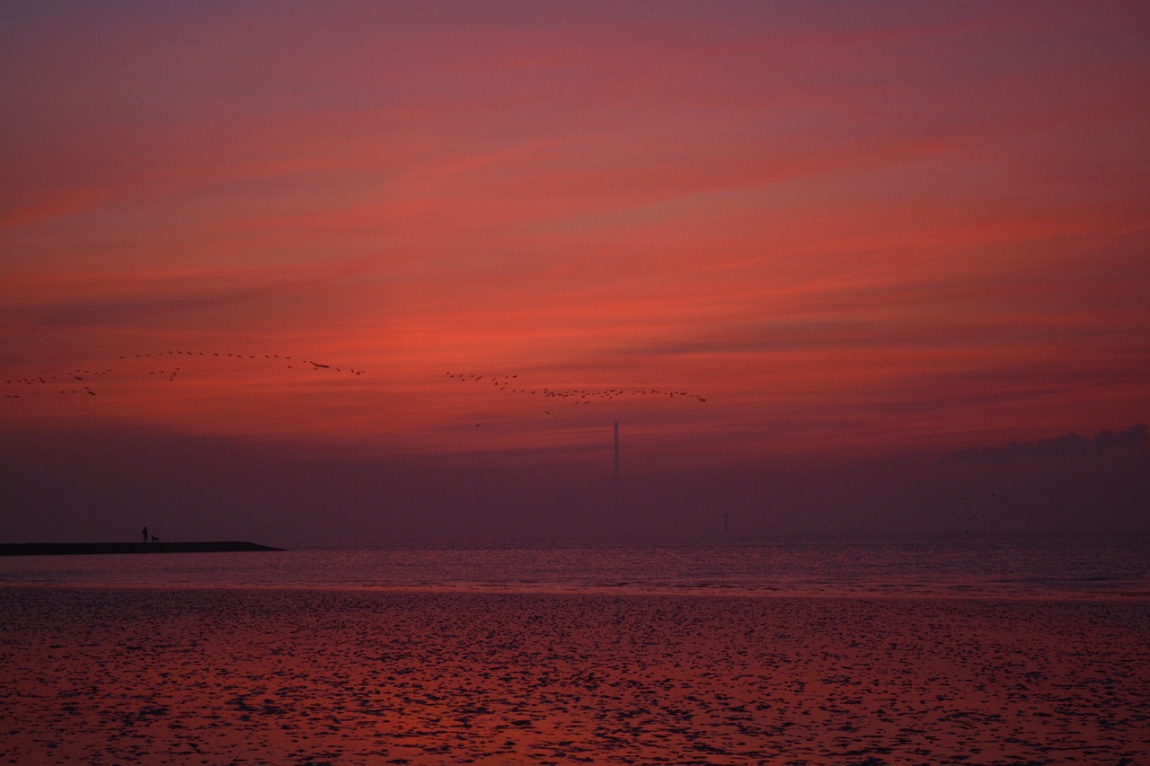 afterglow sky north sea free photo