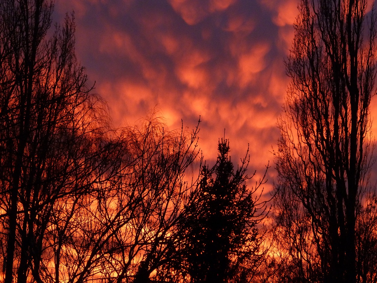 afterglow sunset evening sky free photo