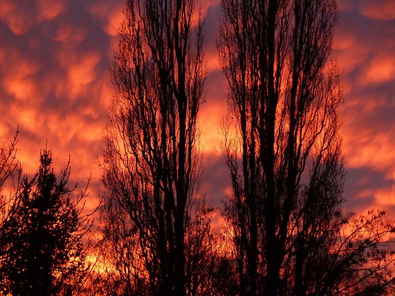 afterglow sunset evening sky free photo