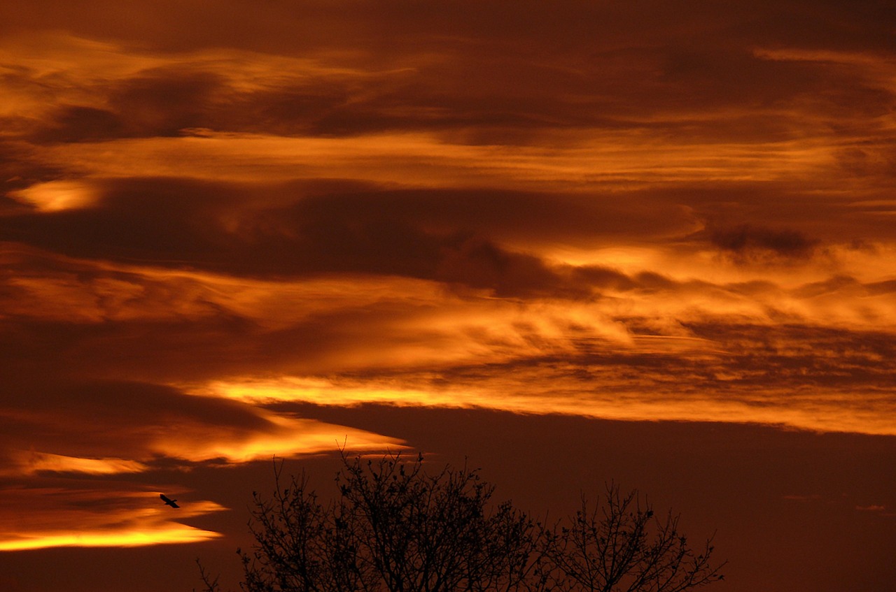 afterglow sunset evening sky free photo