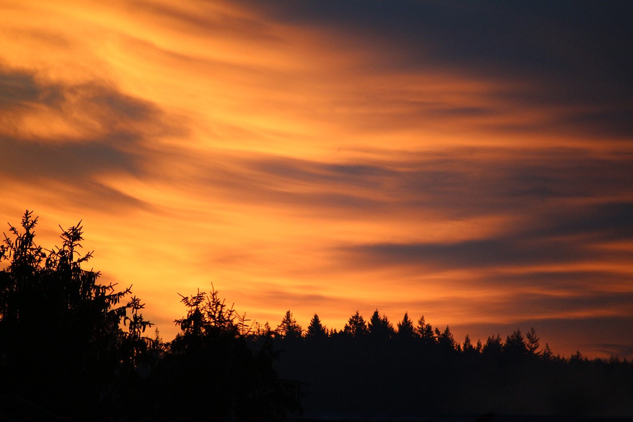 afterglow fire in the sky trees free photo