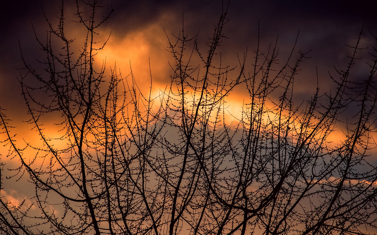 afterglow  sunset  abendstimmung free photo