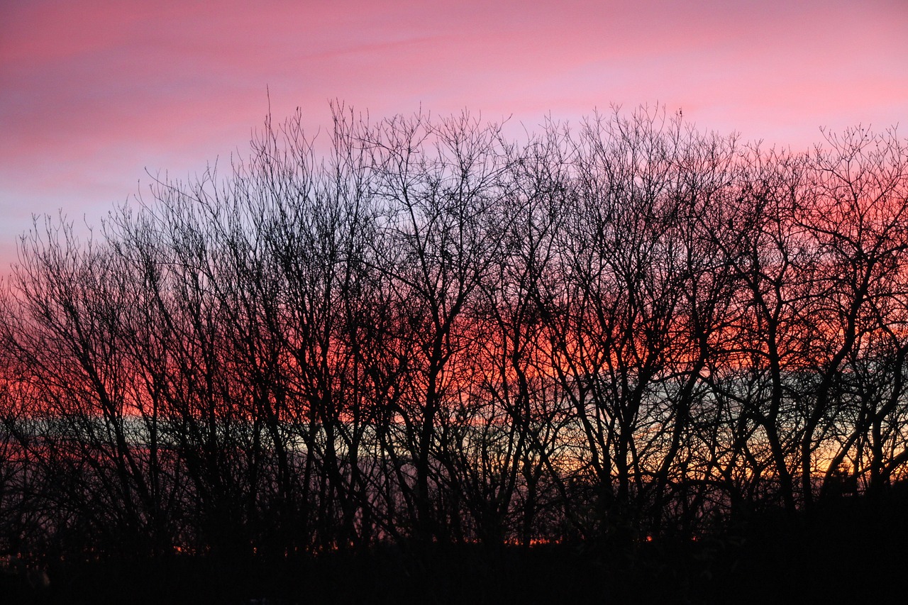 afterglow sky trees free photo