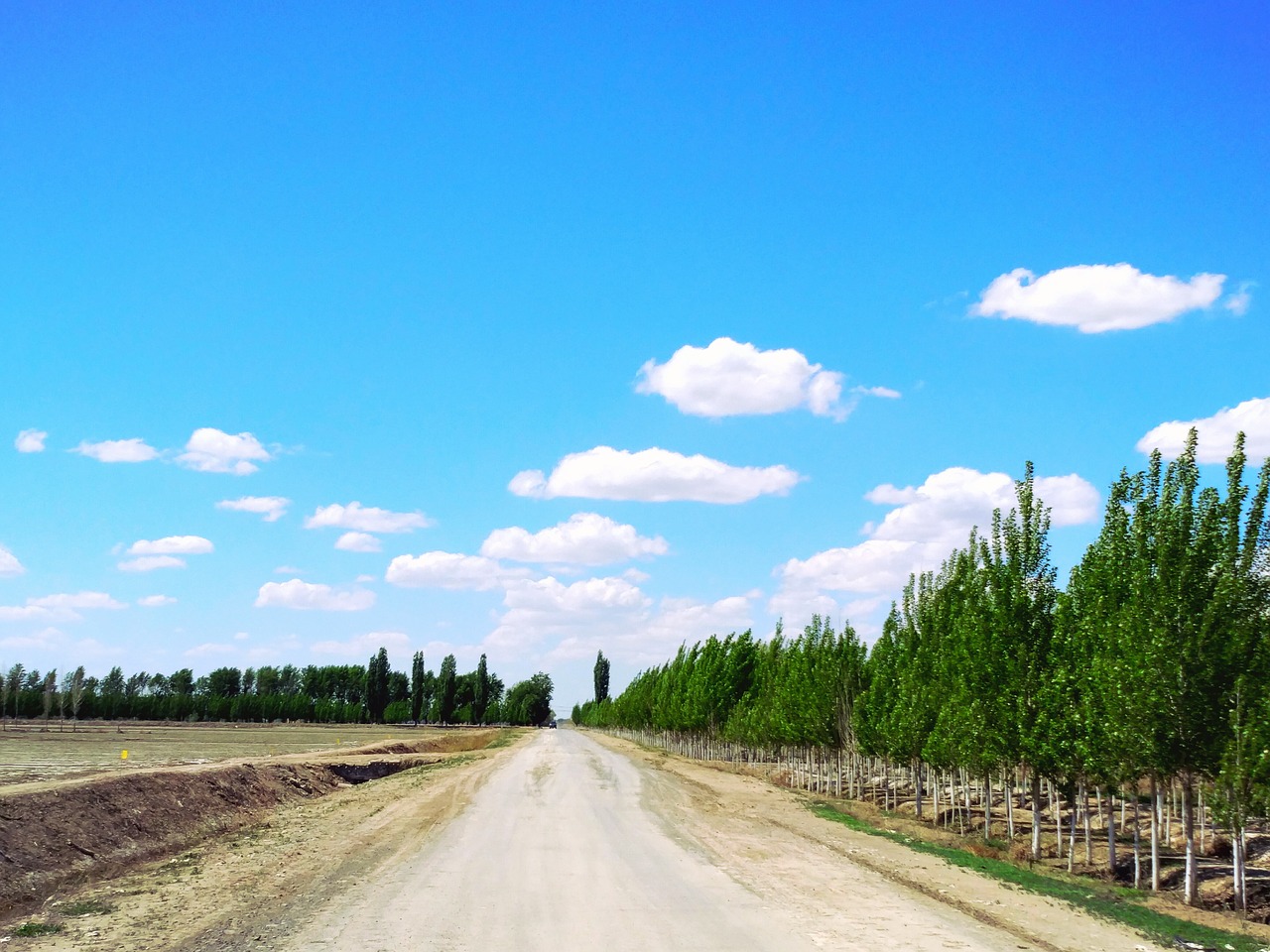 afternoon lane blue sky free photo