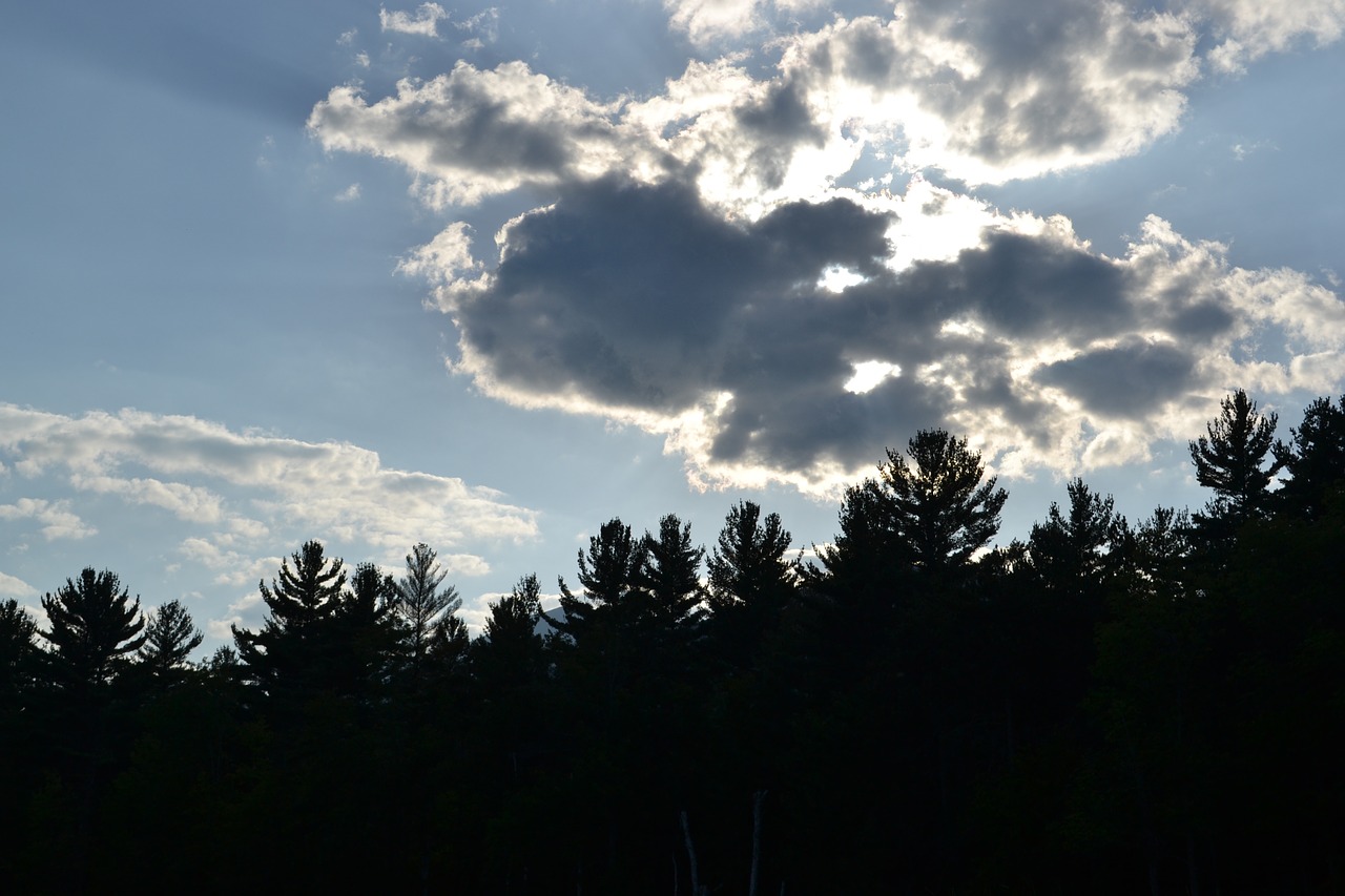 afternoon sky blue free photo