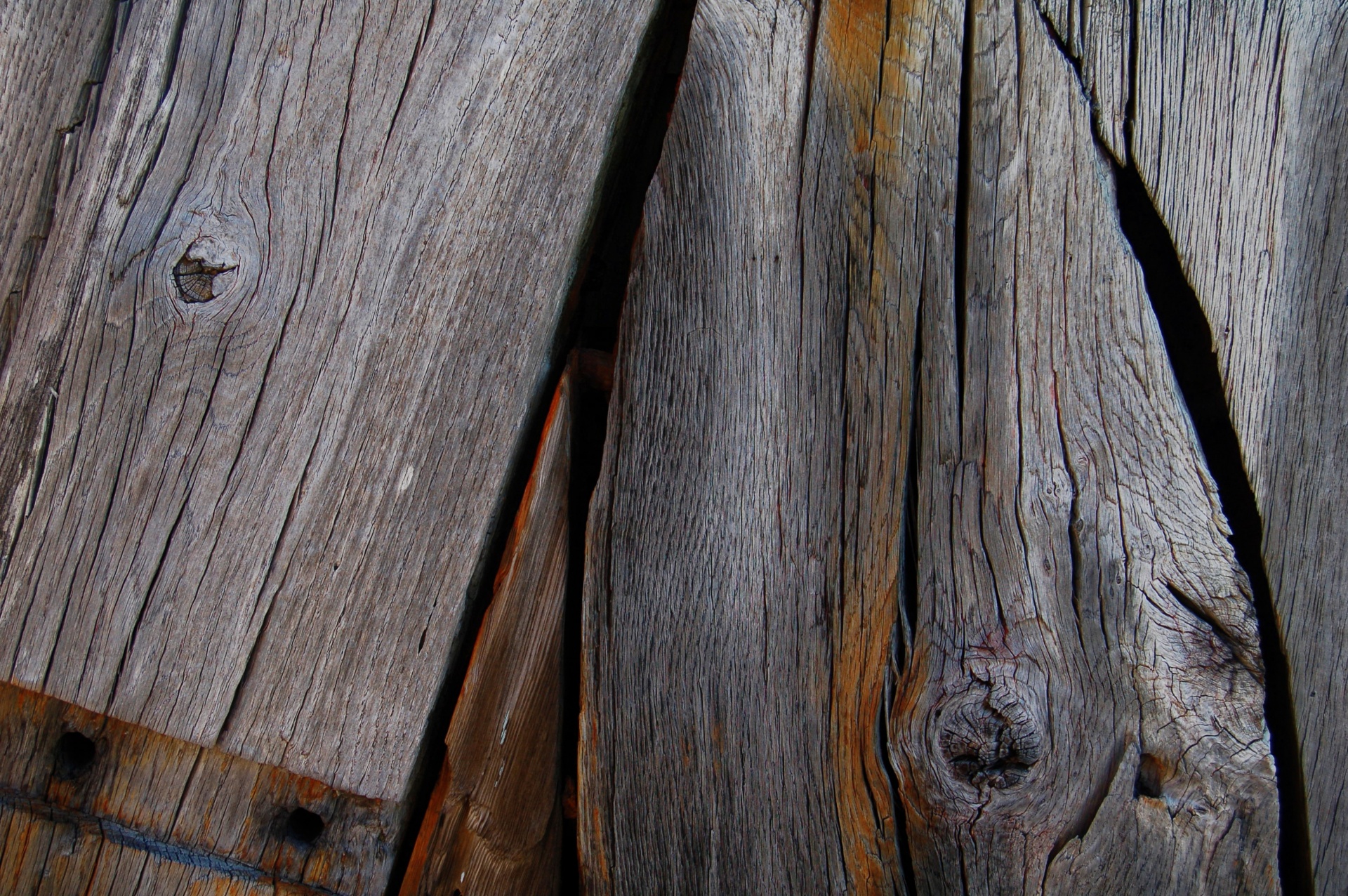wood logs timber free photo